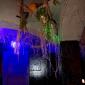 20101031-IMG_4841